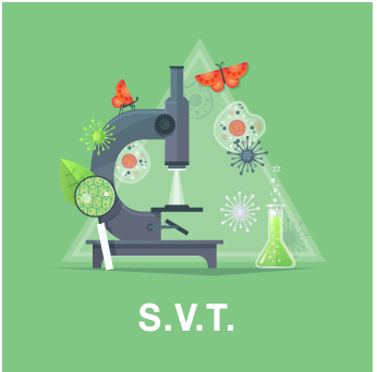 Cours de SVT en ligne par professeure certifiée